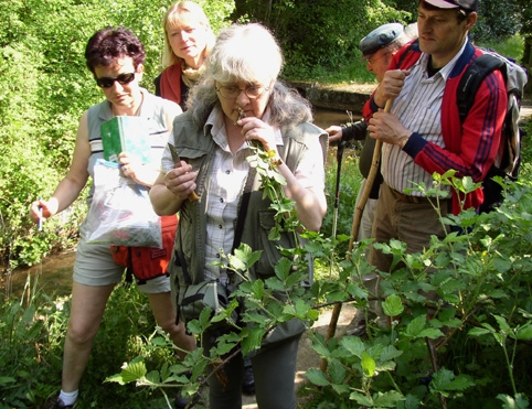 2007 04 Plantes alimentaires 15